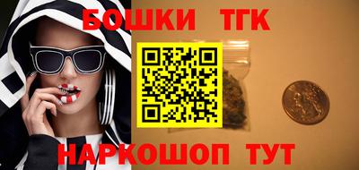 тгк Жуковский