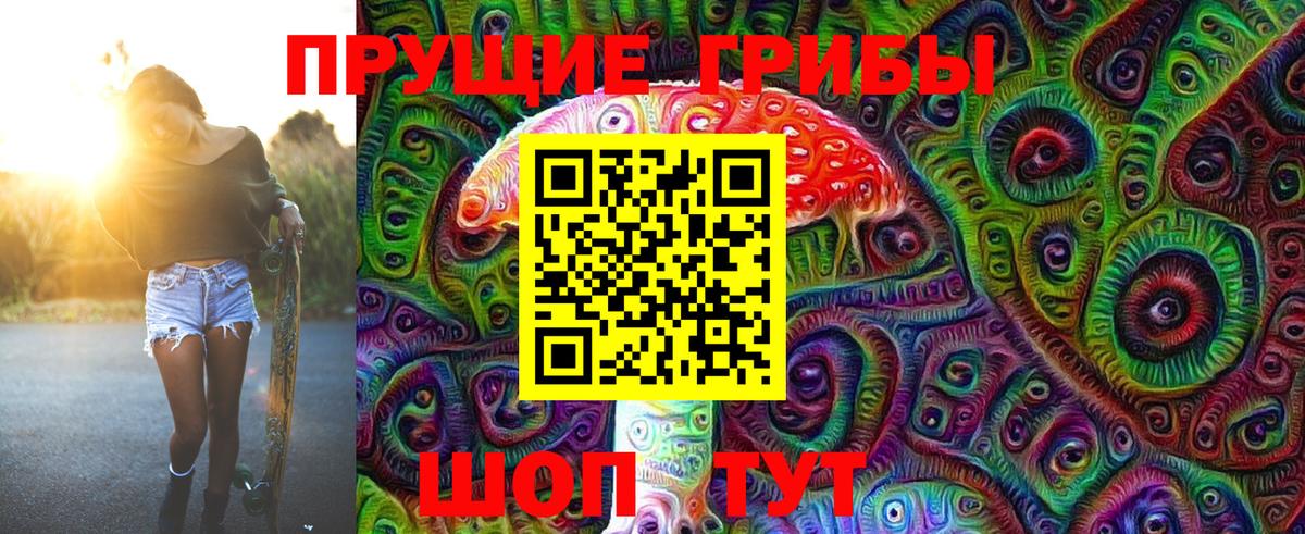 Минусинск  купить  сайты  Вход с VPN  Псилоцибиновые грибы Cubensis 